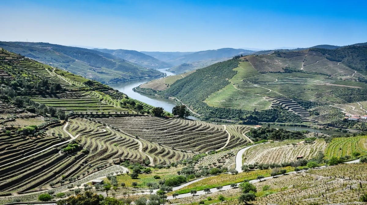 Douro valley 1