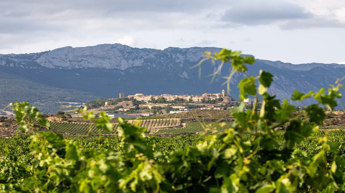 Rioja landschap