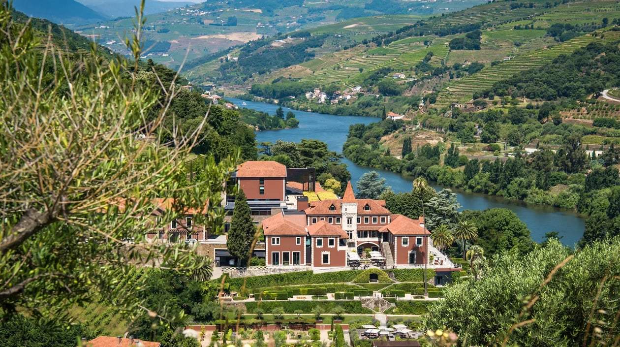 Six Senses Douro Valley vineyard view