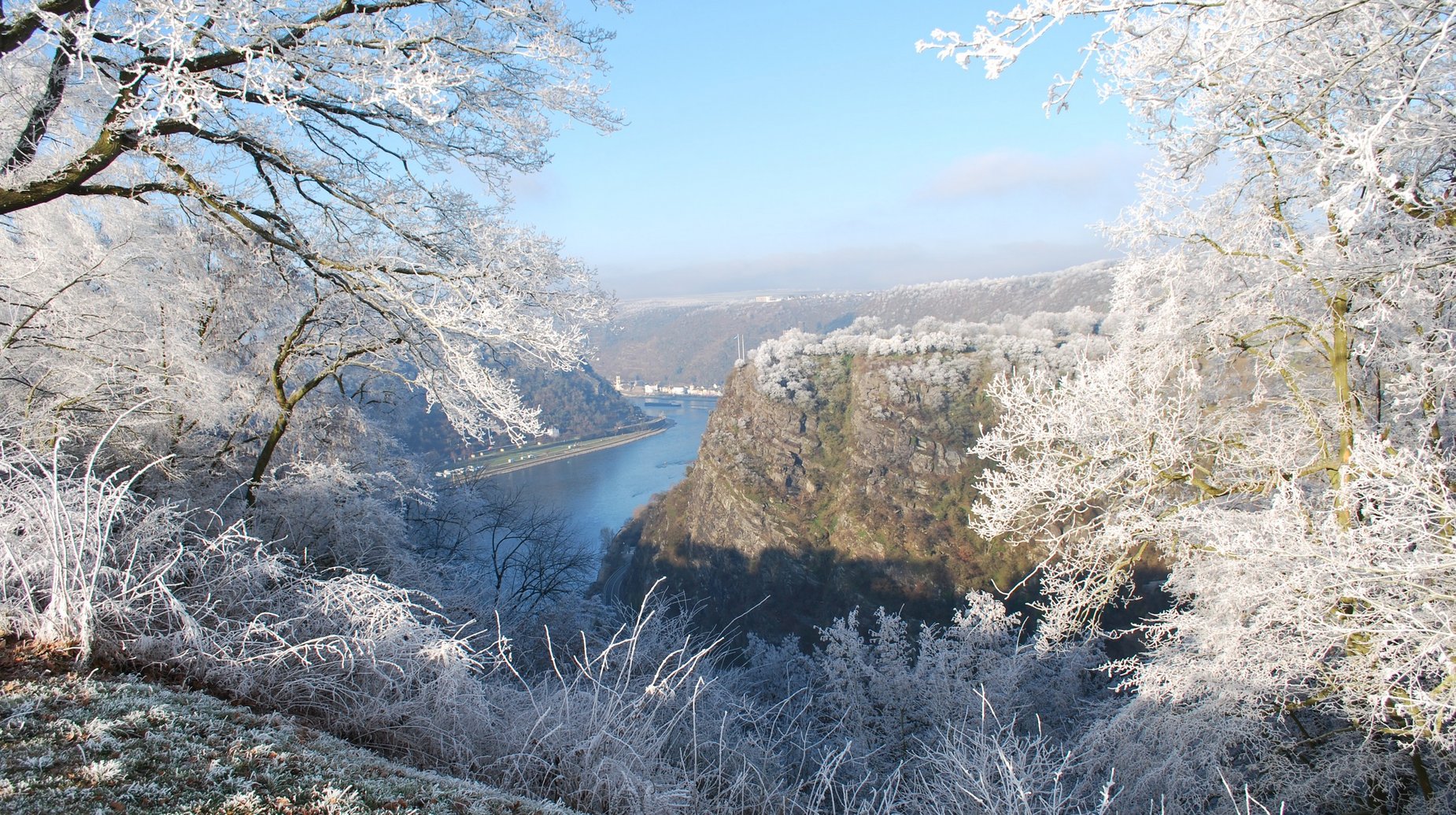 Rijn in winter