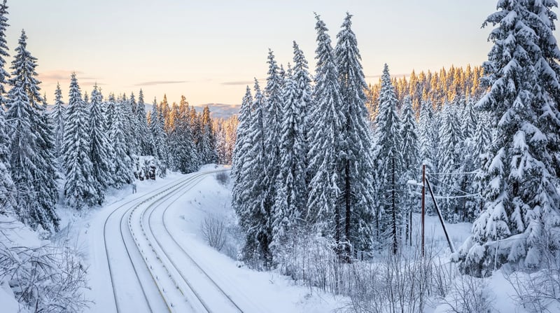 Noorwegen - Bergensbahn Winter (1)