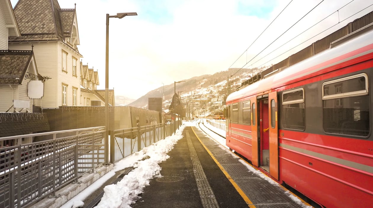 Noorwegen - Trein Bergen - Oslo (3)