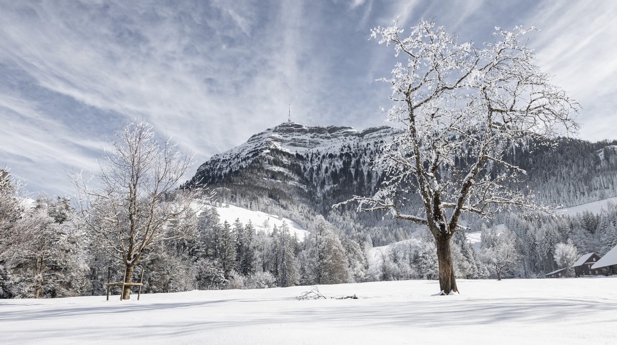 Die Seebodenalp im Winterkleid ©RIGI BAHNEN AG, Fotograf Chris Krebs