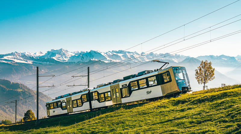 IMG_8918 (1)RIGI 