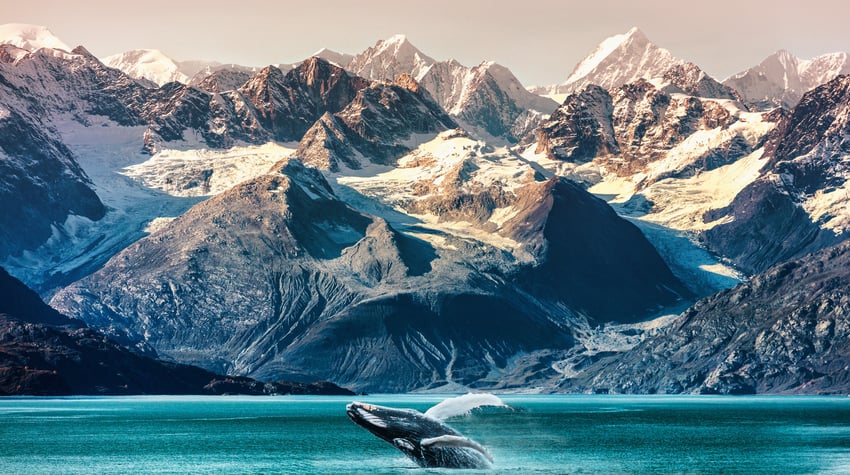 Canada, Alaska, Walvis