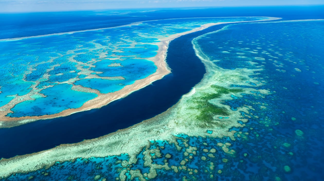 Great Barrief Reef