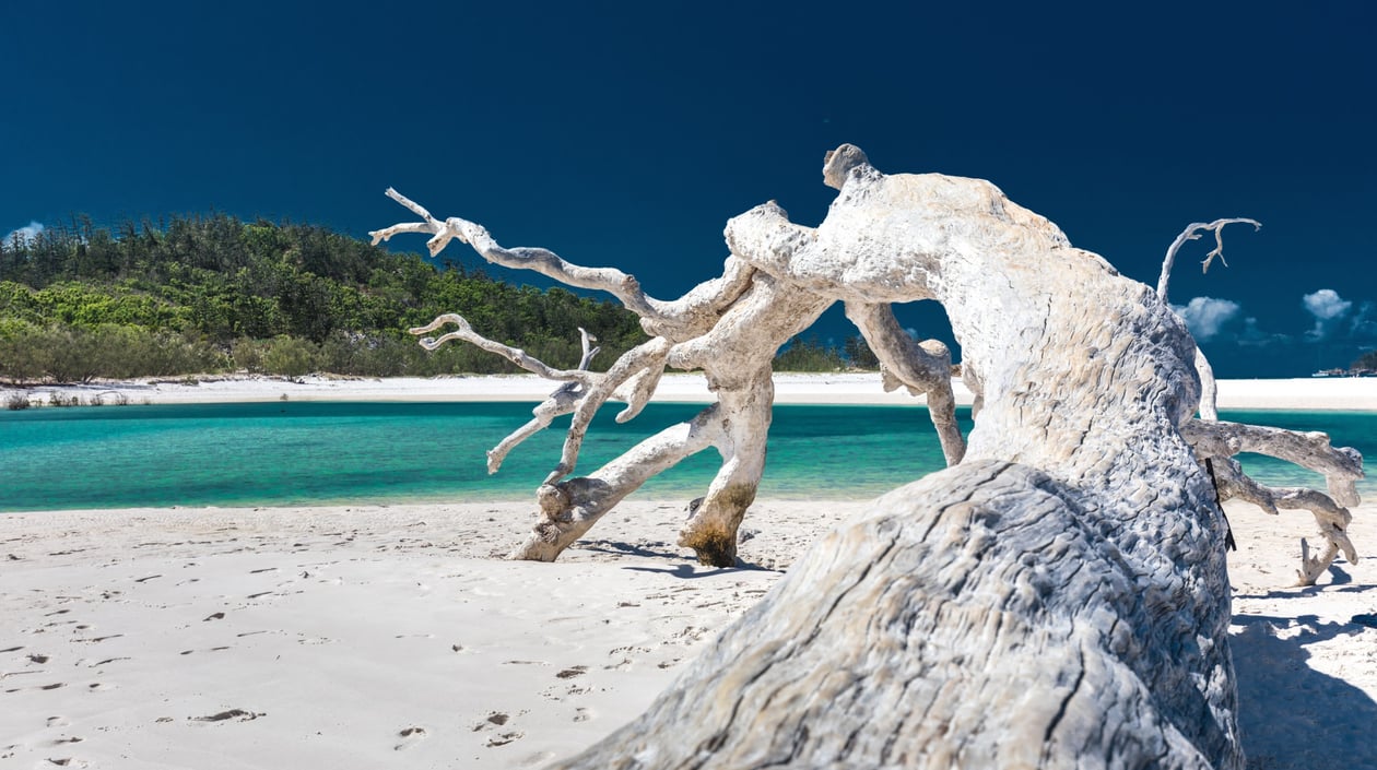 Australië - Whitehaven beach - Whitsundays