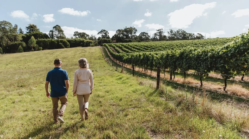 Barossa Valley Australië