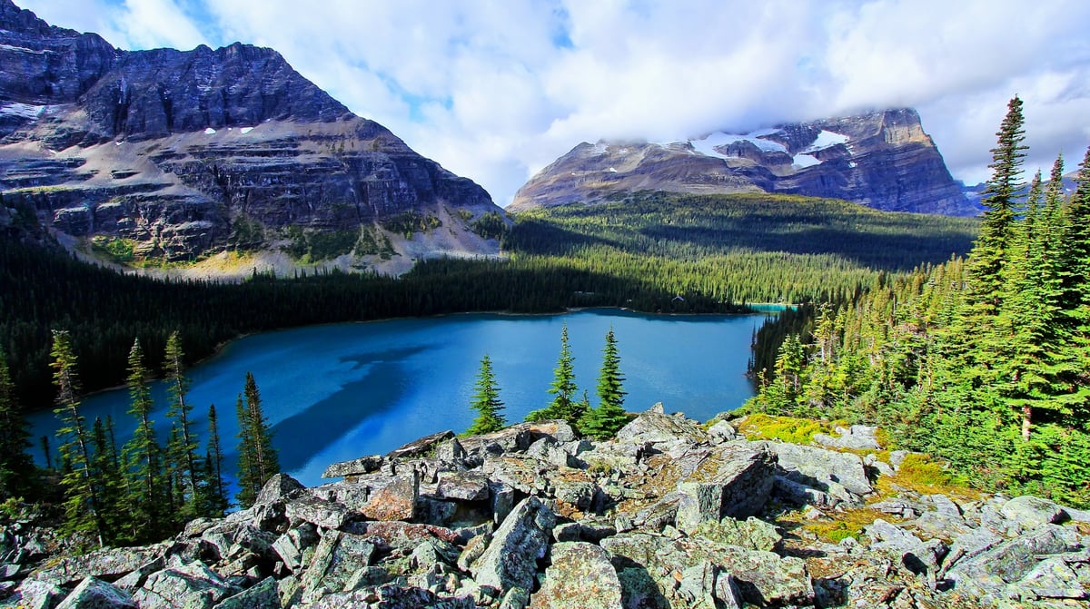 Yoho national park