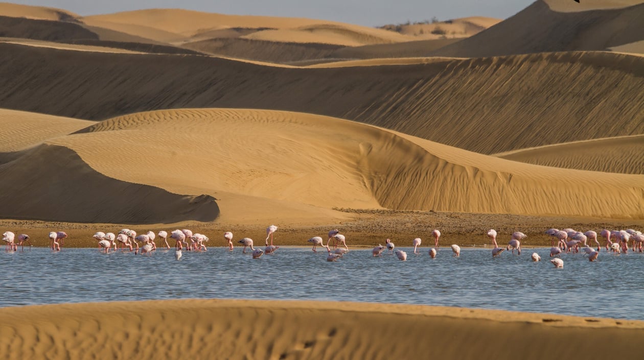 Walvis Baai, Namibië