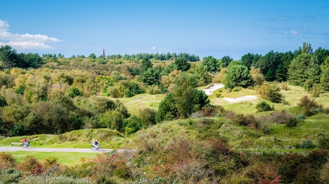 Schiermonnikoog shutterstock_763889212