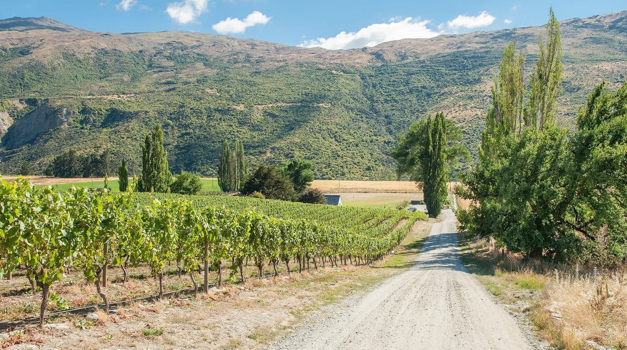 shutterstock_429699532 - Gibbston Valley