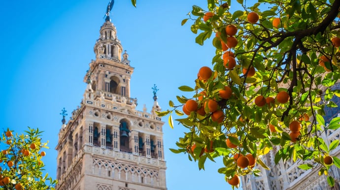 Een unieke treinreis aan boord van de Al Andalús pirvetrein met bezoeken aan Sevilla, Cordoba, Toledo, Leon, Avila en Santiago de Compostela