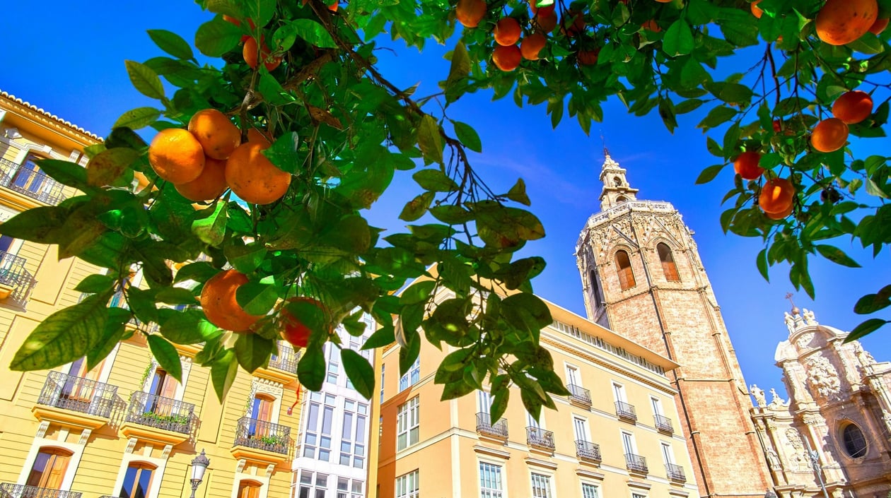 shutterstock_548069473 - Valencia