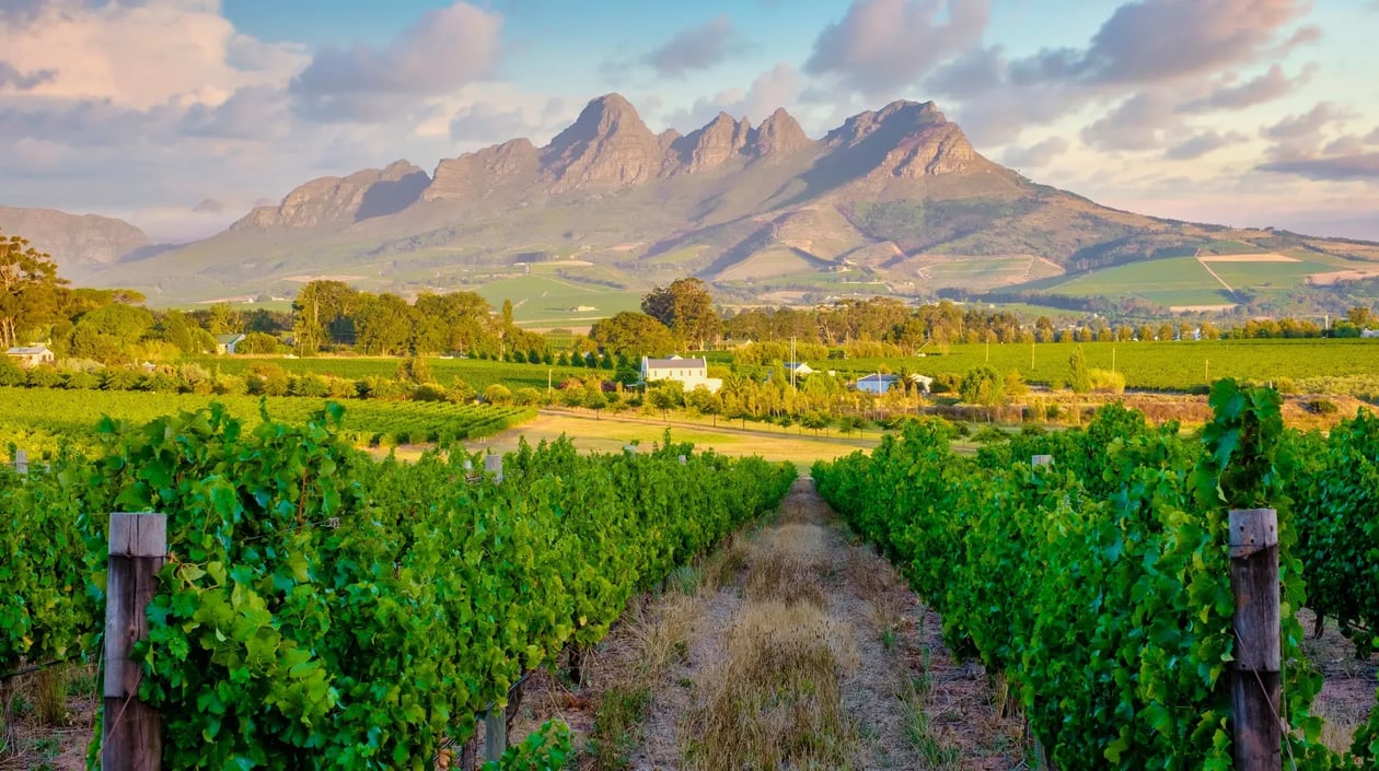 Franschhoek Zuid-Afrika, shutterstock_2281089949