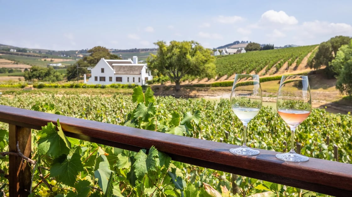 Stellenbosch wijngaard, Zuid-Afrika shutterstock_2420887789