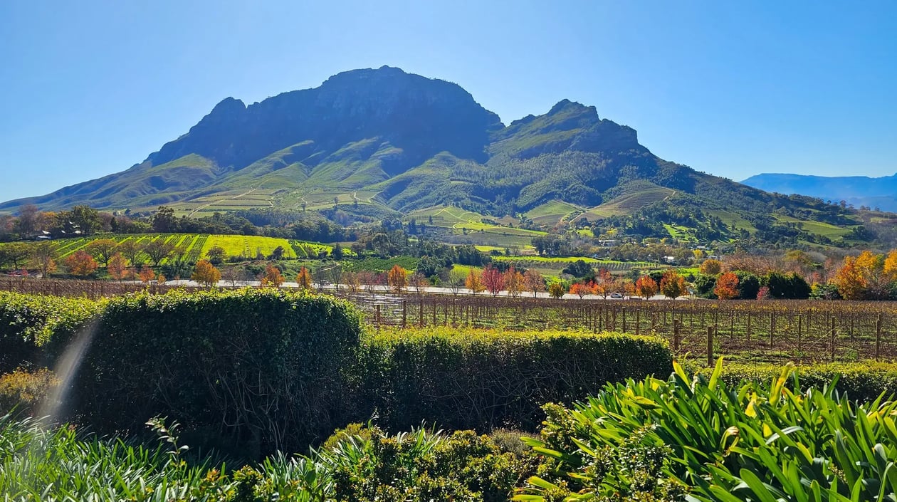 Stellenbosch, Zuid-Afrika shutterstock_2328763289