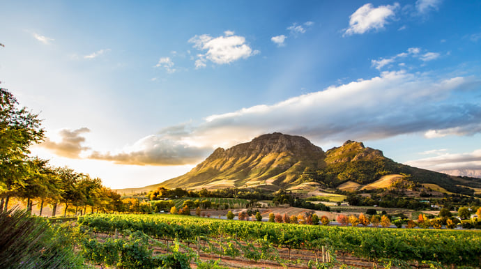 Bijzondere reis naar Zuid-Afrika