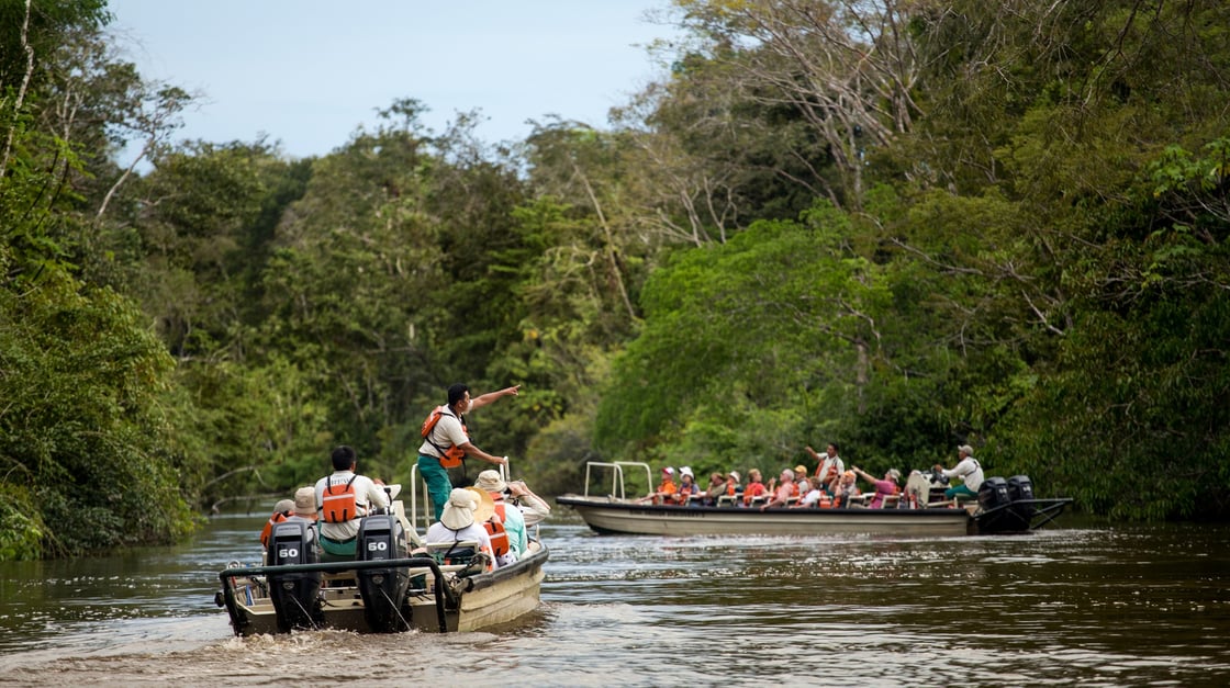 regenwoud excursie amazone