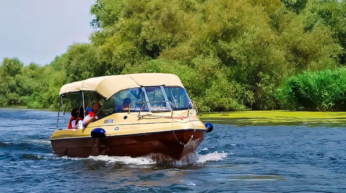 Speed boat Tulcea