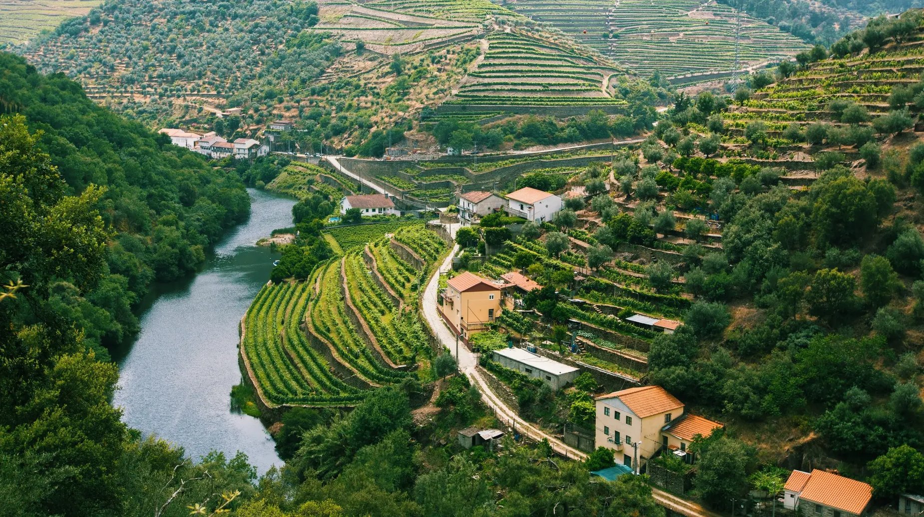 Cruise Douro - Dourovallei (1)