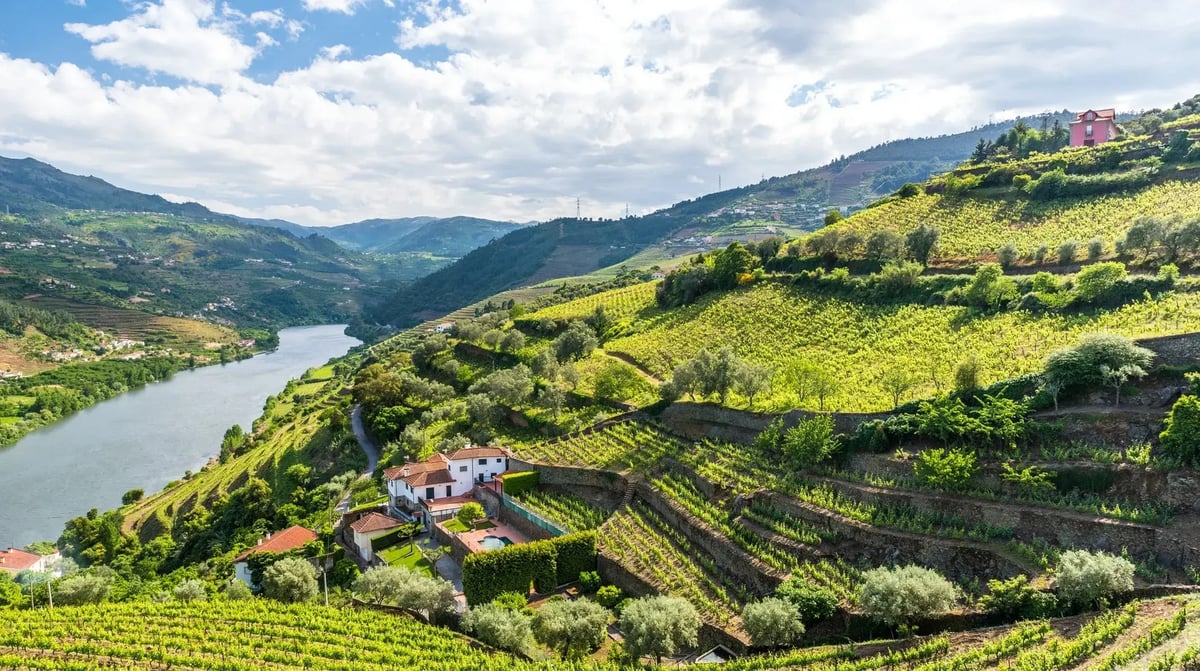 Douro Valley shutterstock_399225568 (1)