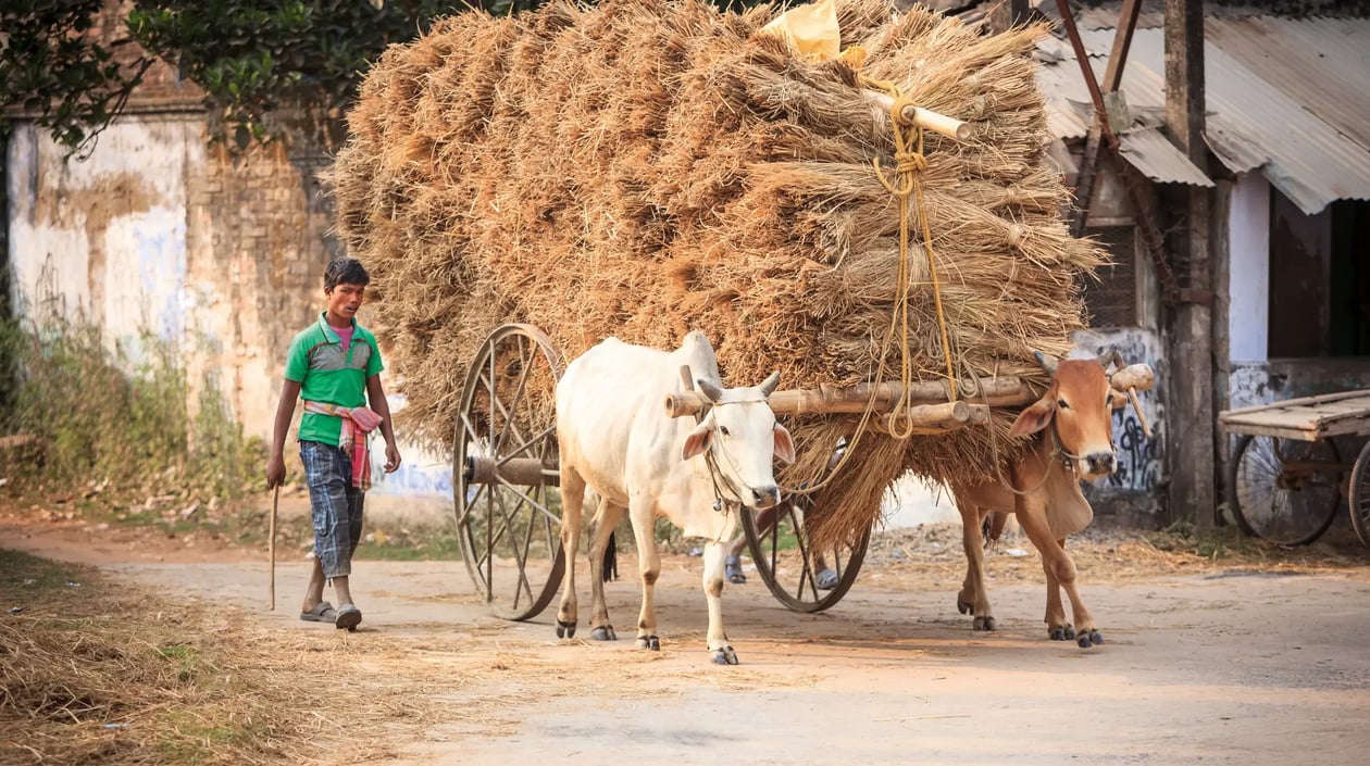 Baranagar-4